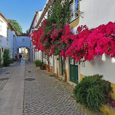 Peaceful Vacation 빌라 Pedreira (Santarem)