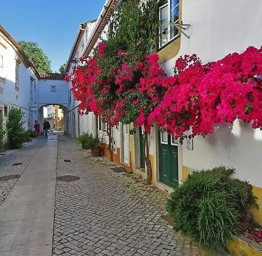 Peaceful Vacation Villa Pedreira (Santarem)